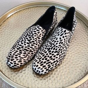NWOT! Gorgeous! Clarks animal print calf hair loafers! NEVER WORN!